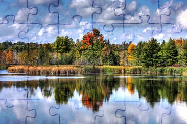  jigsaw puzzle