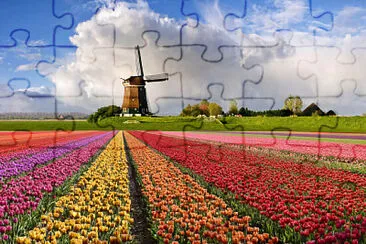 Foto jigsaw puzzle