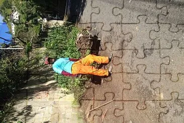 Frank jigsaw puzzle