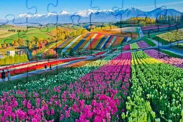 Foto jigsaw puzzle