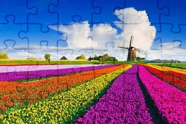 Foto jigsaw puzzle