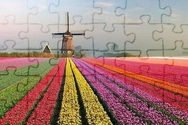 Foto jigsaw puzzle