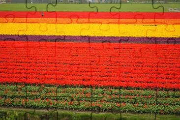 Foto jigsaw puzzle