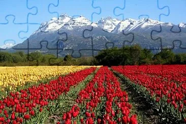 Foto jigsaw puzzle