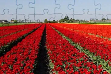 Foto jigsaw puzzle