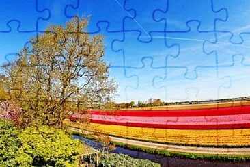 Foto jigsaw puzzle