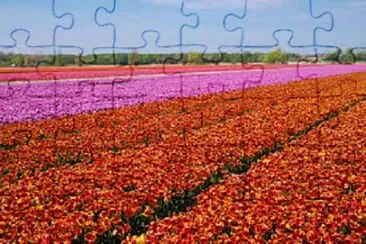 Foto jigsaw puzzle