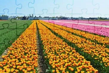 Foto jigsaw puzzle