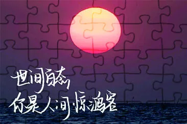 å”¯ç¾Ž jigsaw puzzle