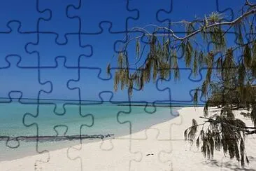 Heron island jigsaw puzzle