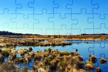 Cuerpos de agua continental. jigsaw puzzle