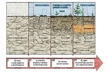 FormaciÃ³n de Suelos