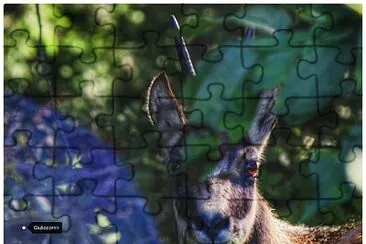 NEL BOSCO jigsaw puzzle