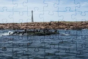 Isla de Lobos jigsaw puzzle