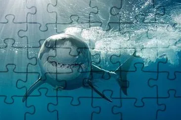 I 'm Hungry jigsaw puzzle