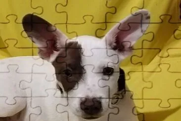  jigsaw puzzle