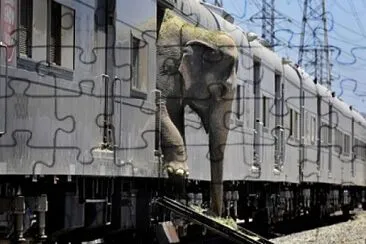 Elephant Station jigsaw puzzle