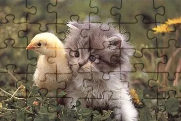 Chick and Kitty jigsaw puzzle