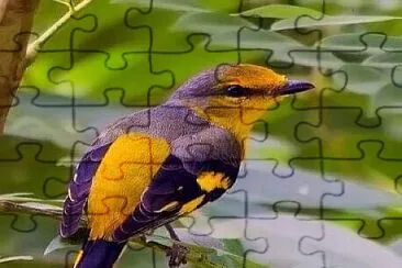 imagem jigsaw puzzle