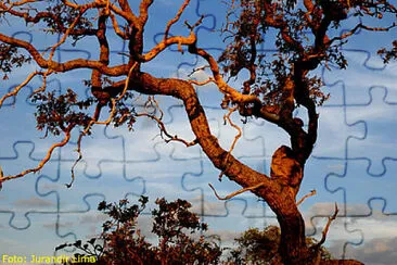 imagem jigsaw puzzle