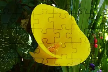 Flower jigsaw puzzle