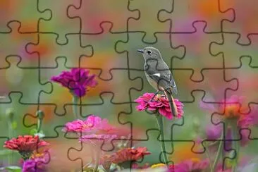 Bird and Blooms jigsaw puzzle