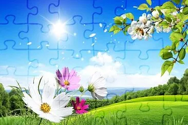 Flower jigsaw puzzle