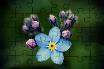 Flower jigsaw puzzle