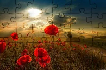 Flower jigsaw puzzle