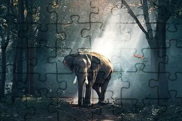 ELEFANTE jigsaw puzzle