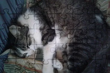 primavera jigsaw puzzle