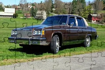 1981 Buick Electra Park Avenue