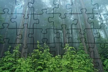 Habitad jigsaw puzzle