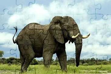 Arma el rompecabezas y descubre la imagen. jigsaw puzzle