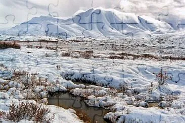 Tundra jigsaw puzzle