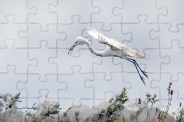 garza blanca jigsaw puzzle