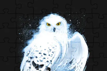 Hedwig jigsaw puzzle