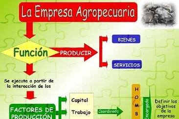 פאזל של Detalle de las empresas agropecuarias