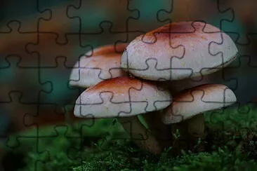 Natur jigsaw puzzle