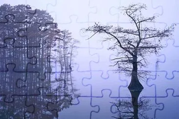 reflet jigsaw puzzle