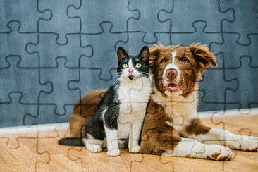 Foto jigsaw puzzle