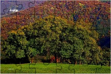 autunno in lessinia ,Verona jigsaw puzzle