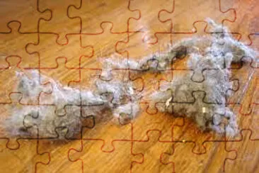 fuzz jigsaw puzzle