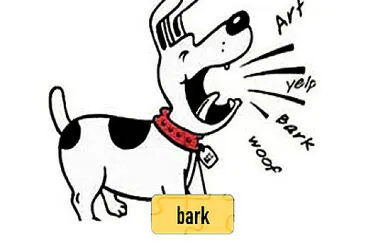 bark