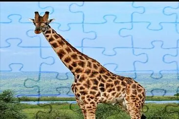 פאזל של Girafa