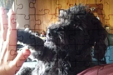 lota jigsaw puzzle