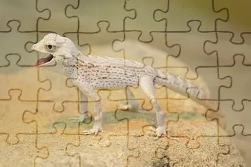 Gecko jigsaw puzzle