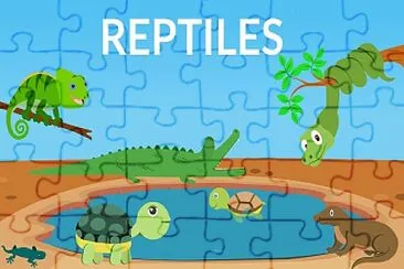 Reptiles for kids