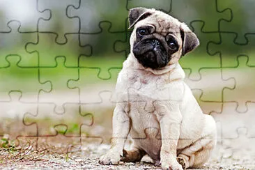 PERRITO ADOP ME jigsaw puzzle