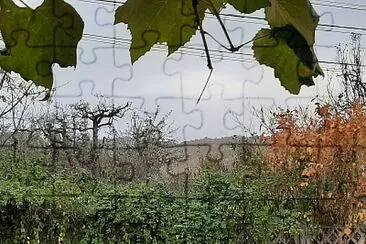 Toamna Ã®n grÄƒdina jigsaw puzzle